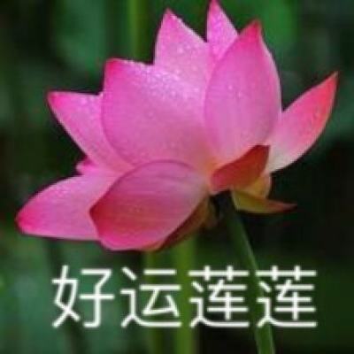 【图集】丰台封控管控小区全部解封 北京中高风险区域清零